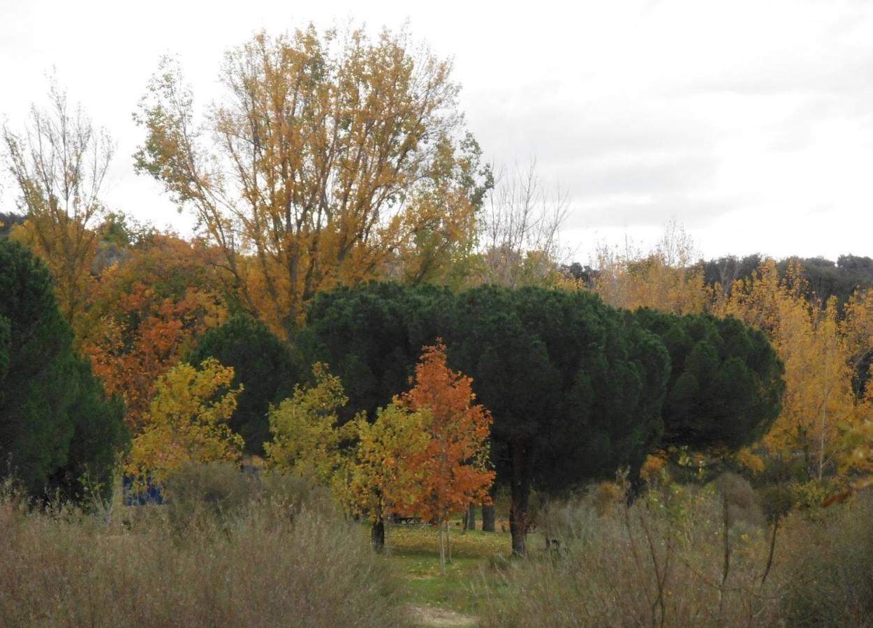 Apartamentos "Casa Rural De Aldea" Aldea del Fresno 外观 照片